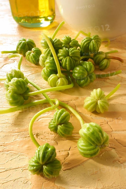 Fresh garden nasturtium seeds (Tropaeolum majus)