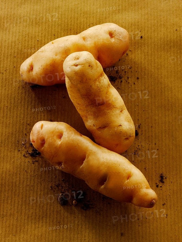 Fresh organic Anya potatoes