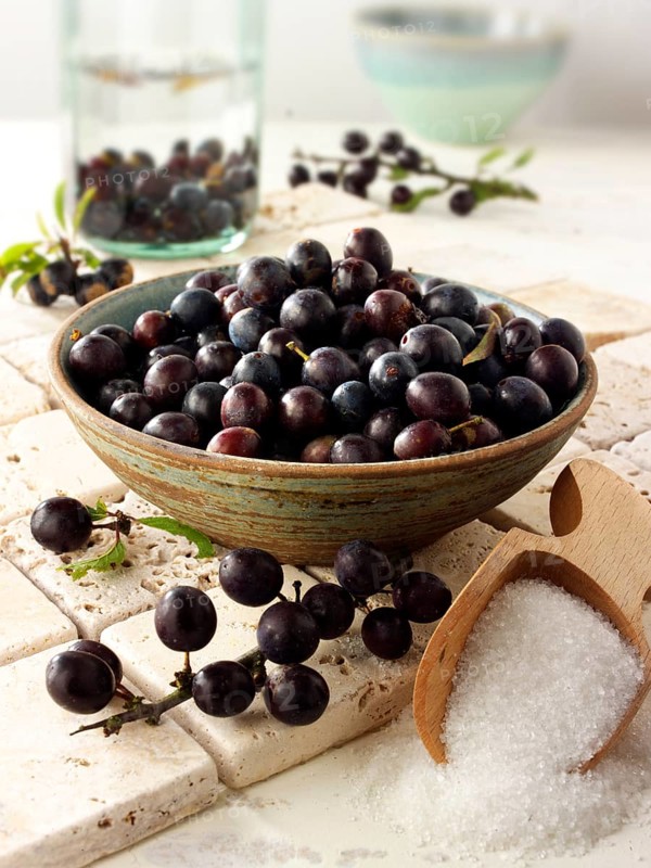 Fresh sloe berries