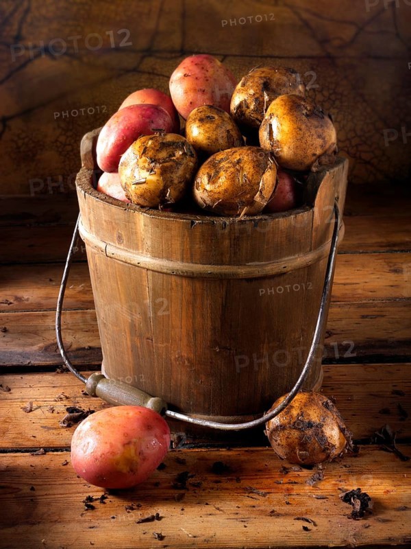 Maris Piper potatoes