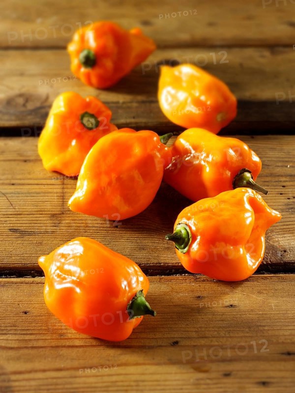 Fresh Scotch Bonnet chilies