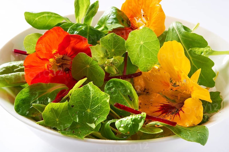 Fresh nasturtium flowers and leaves in a salad