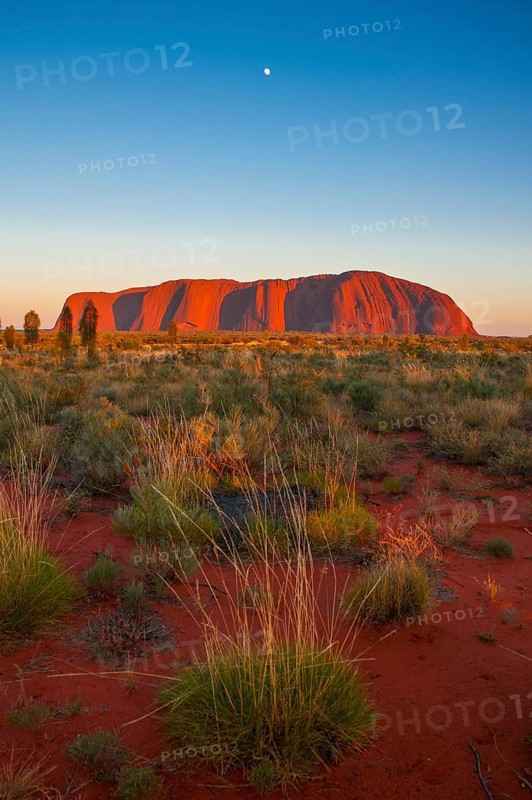 Uluru