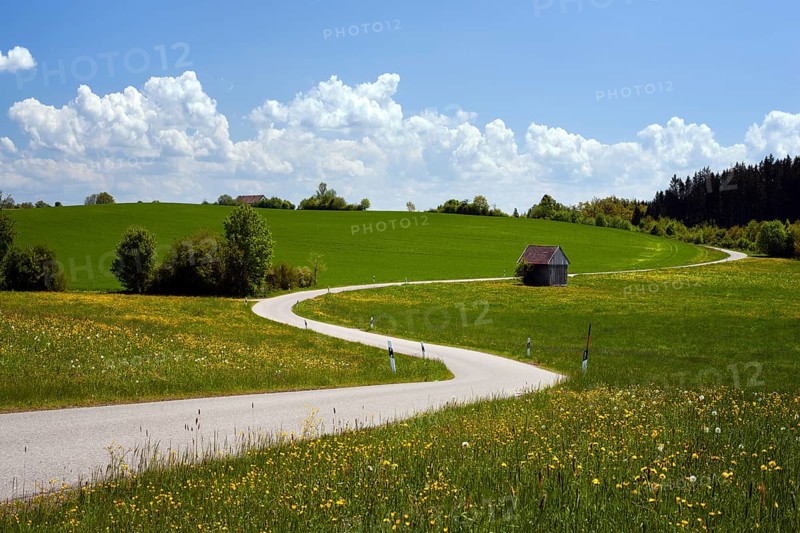 Dirt road near Wessobrunn