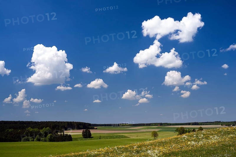 Landscape in Lechrain near Reichling