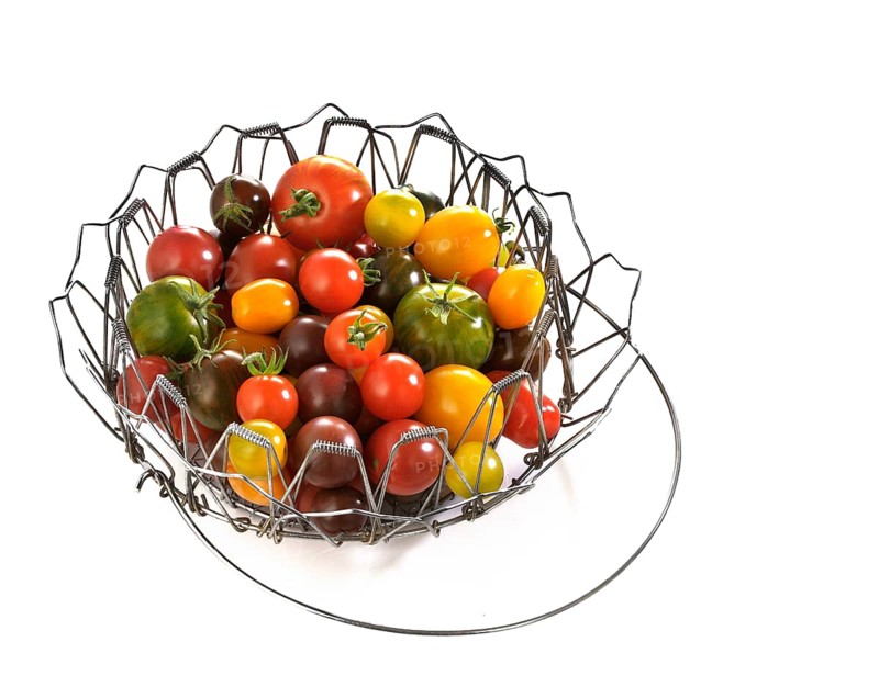 Various wild tomatoes in a wire basket