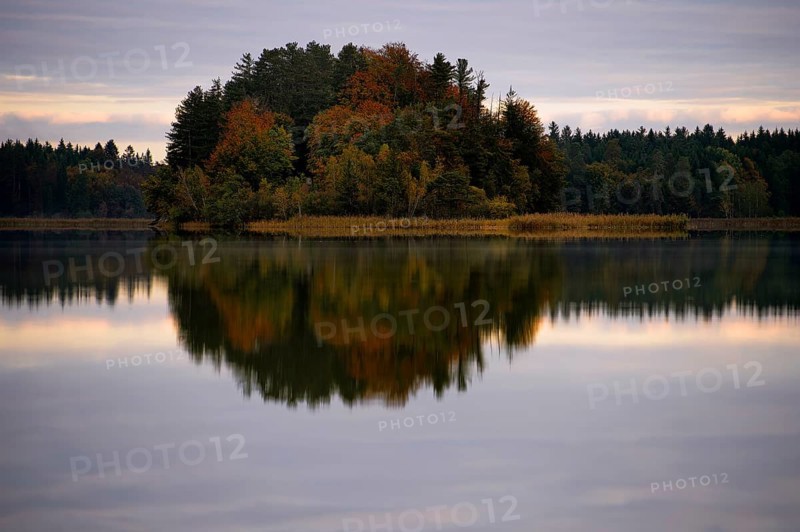 Autumnal island with reflection Lake Ostersee
