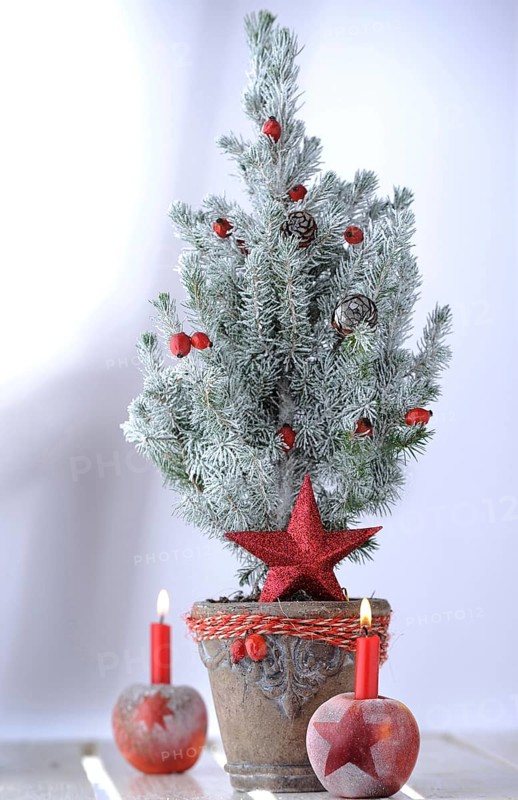 Christmas ambience with red apples