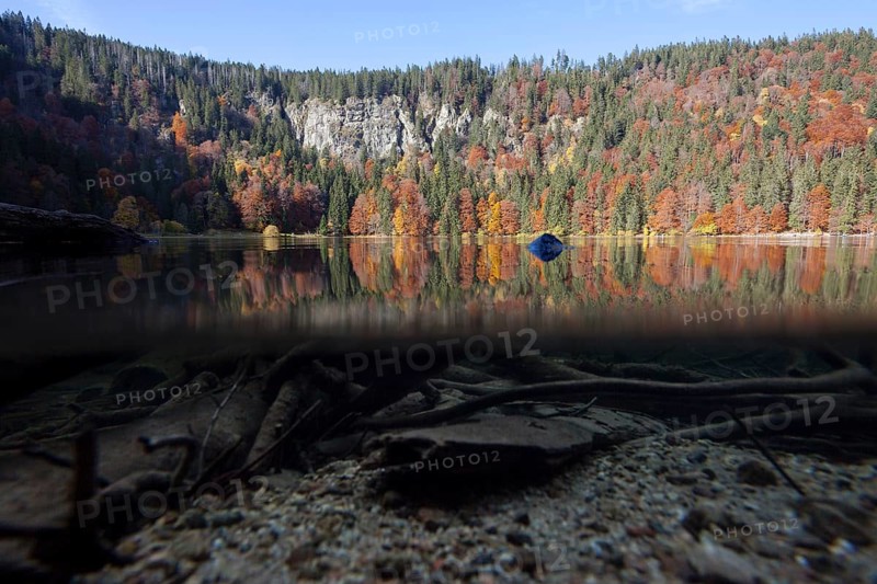 Over-under shot of Lake Feldsee in the Black Forest