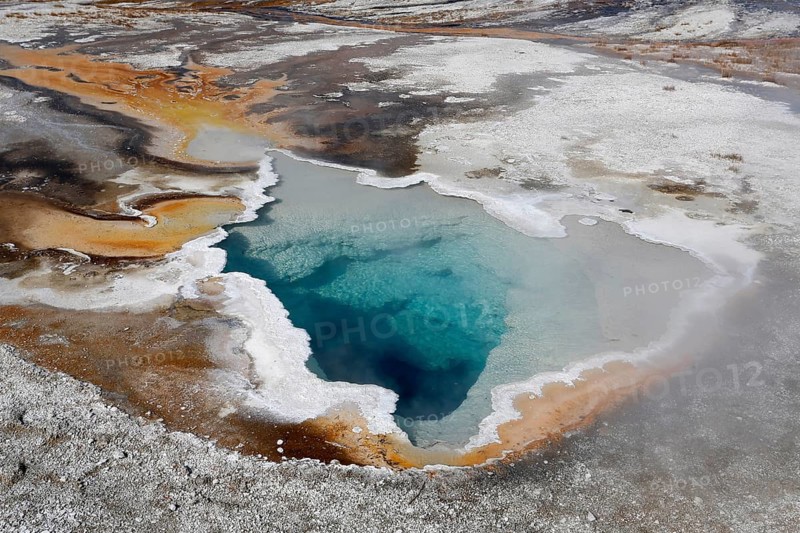 Heart Spring