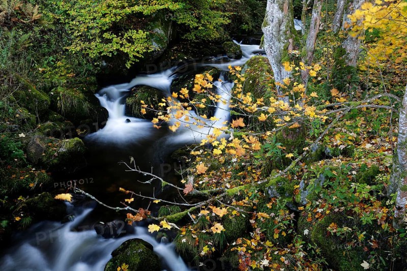 Creek