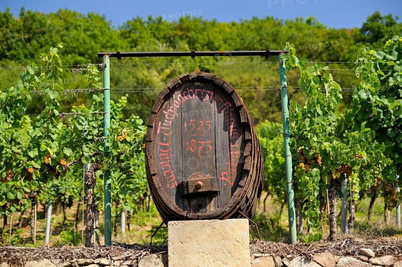Wine barrel
