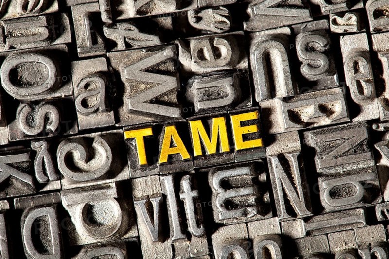 Old lead letters forming the word "TAME"