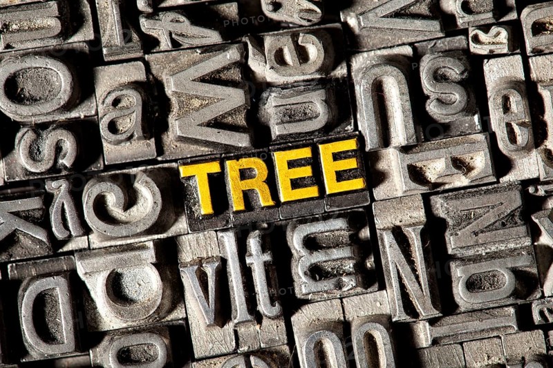 Old lead letters forming the word Tree