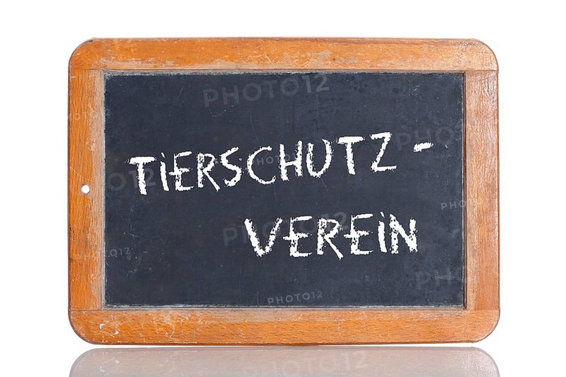 Old school blackboard with the term TIERSCHUTZVEREIN