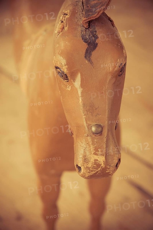 Close-up of wooden horse