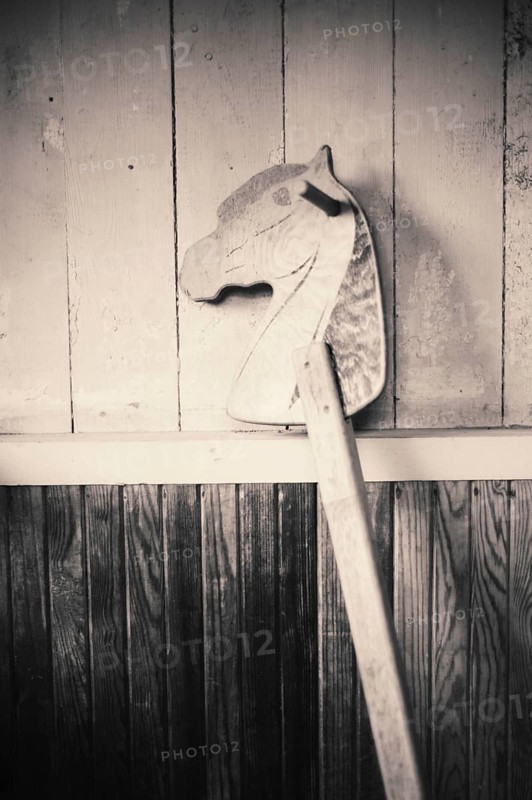Wooden hobby-horse