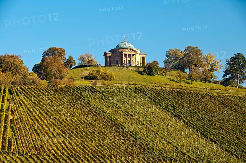 Vineyard with Lemberger grapes on Rotenberg Mountain with Wuerttemberg Mausoleum near Stuttgart