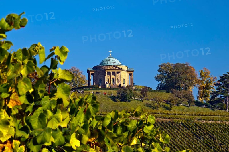 Vineyard with Lemberger grapes on Rotenberg Mountain with Wuerttemberg Mausoleum near Stuttgart