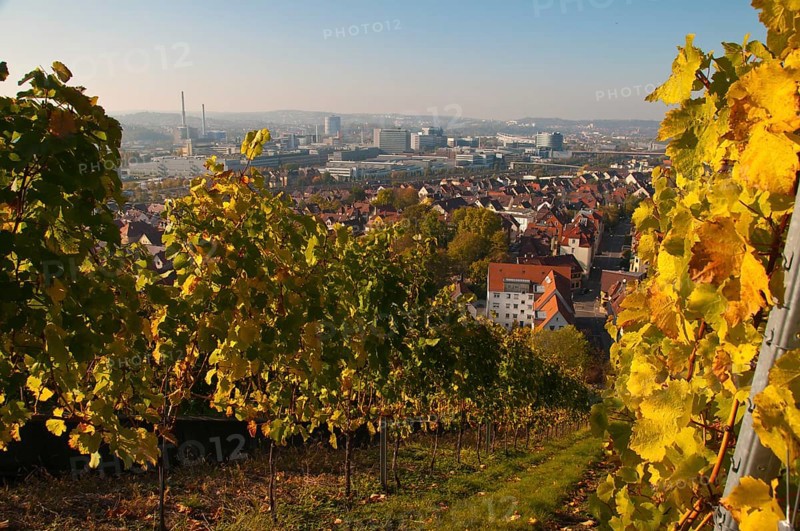 Panorama from Rotenberg Mountain towards the main Daimler plant and Mercedes-Benz Arena