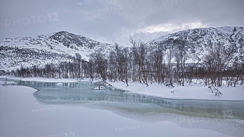 Creek in winter
