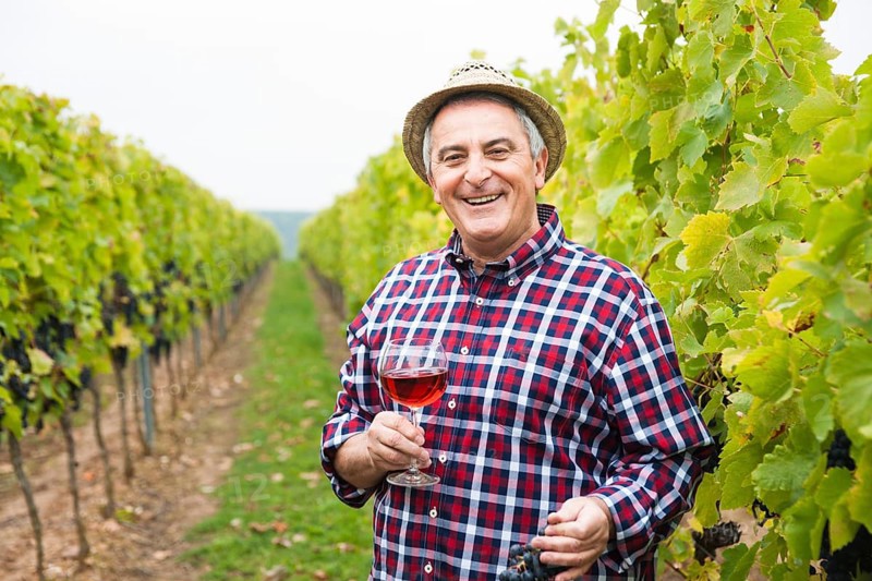 Winemaker or vintner standing with a glass of red wine in his vineyard