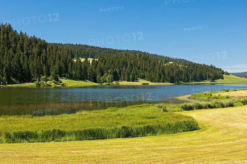 Lake Tailleres