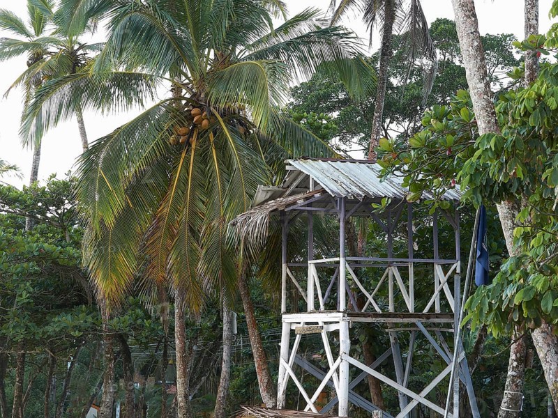 Lookout tower