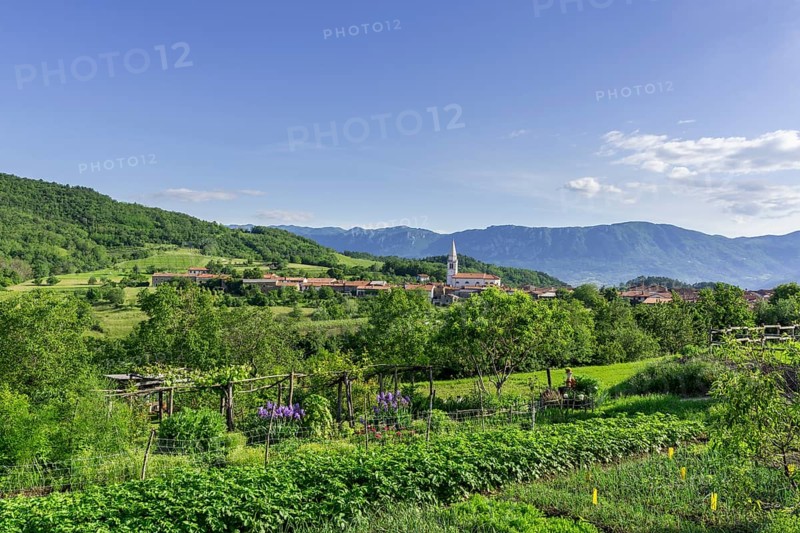 View to the village Goce