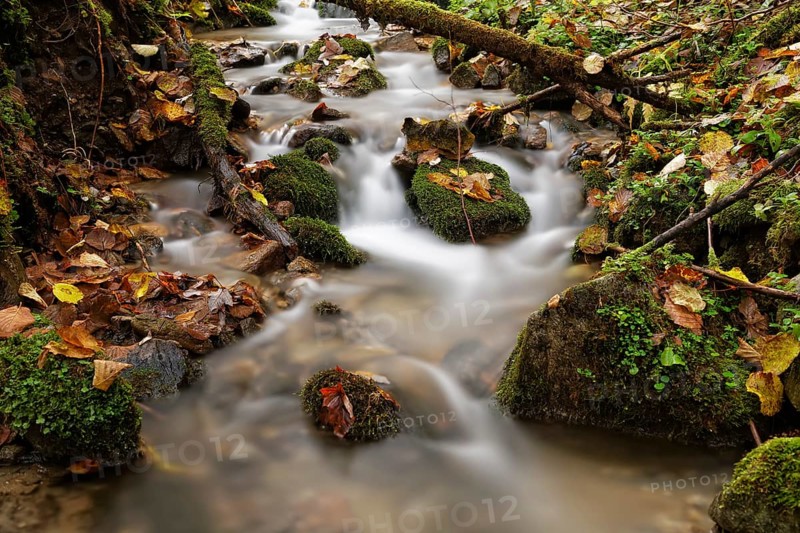 Wildbach stream in autumn