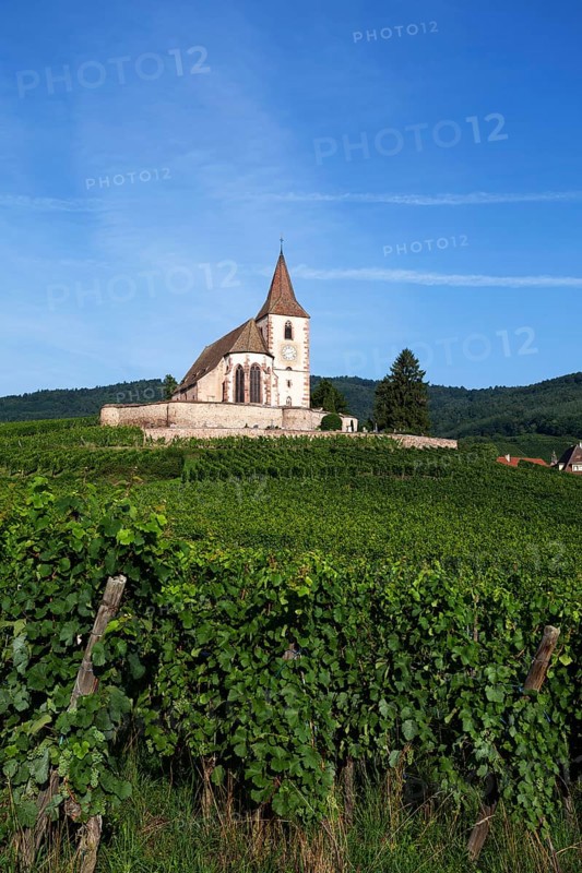 Gothic fortified church of Saint-Jacques in the vineyards
