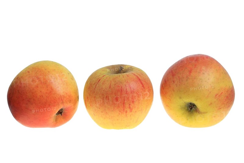 Apples