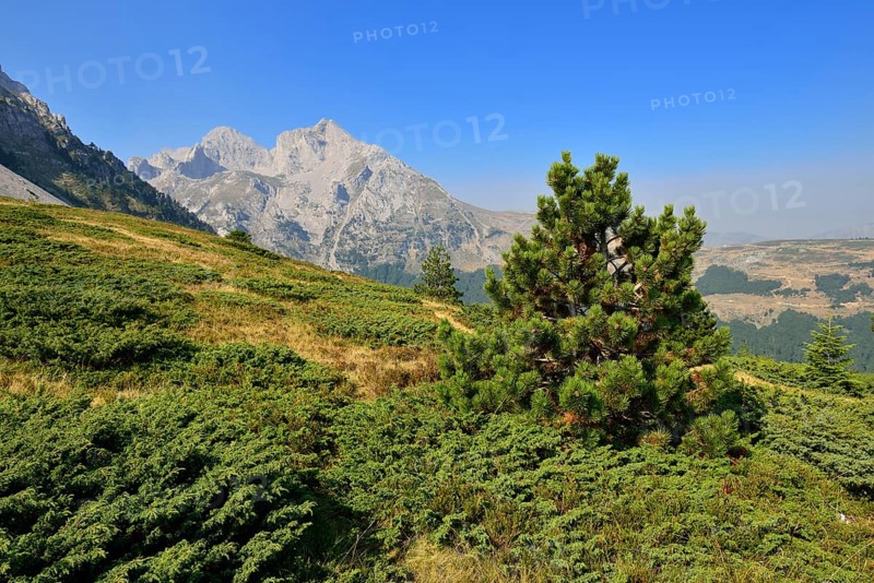 View towards Kom Ljevorijecki Mountain