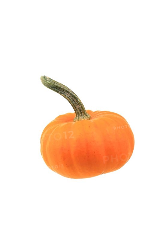 Squash