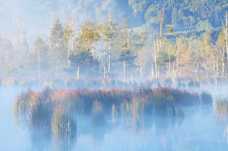Morning mist over moorland pond