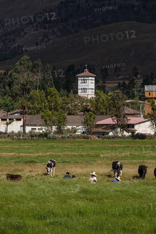 Farm of La Collpa