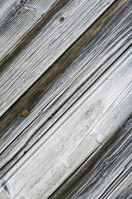 Old wood texture