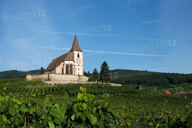 Gothic fortified church of Saint-Jacques in the vineyards