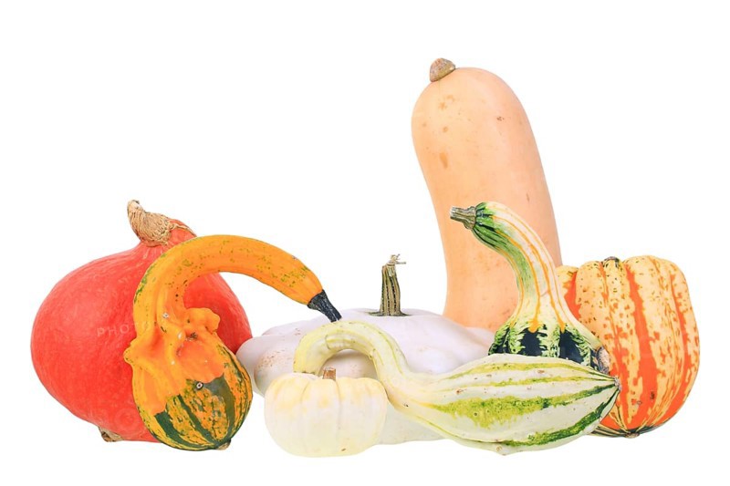 Various types of squashes or pumpkins