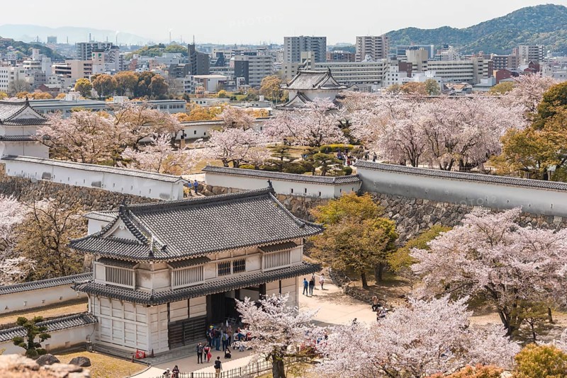 Outside Himeji Castle