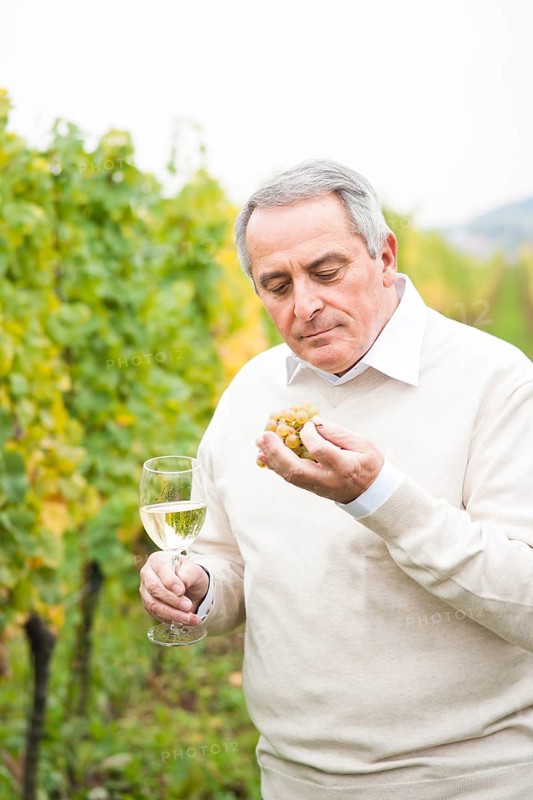Winemaker or vintner holding a glass of wine in his vineyard