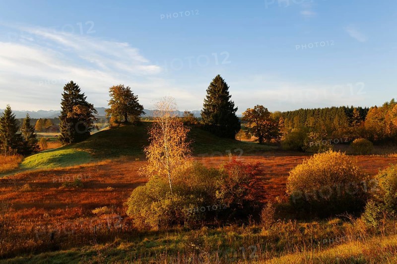 Landscape near the Osterseen lakes near Iffeldorf in the early morning