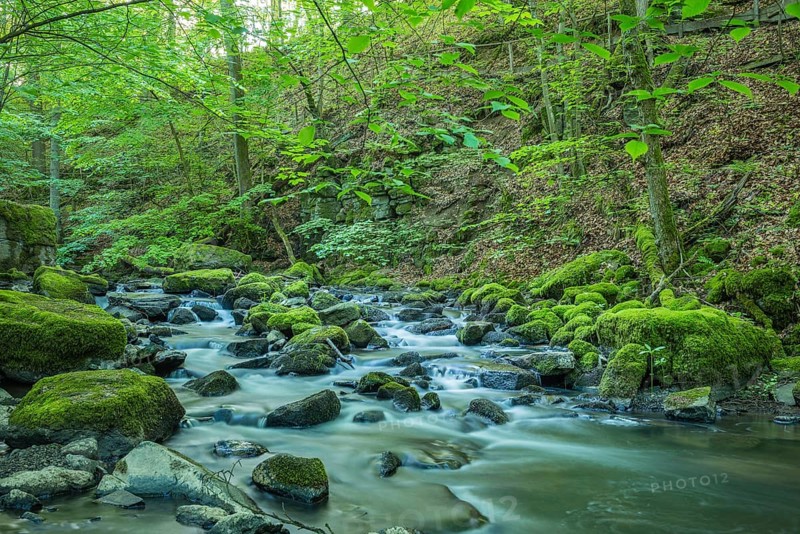 The Holzbach brook in the Holzbachschlucht