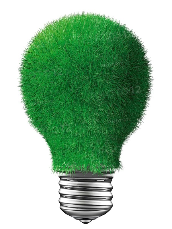 Light bulb covered with grass