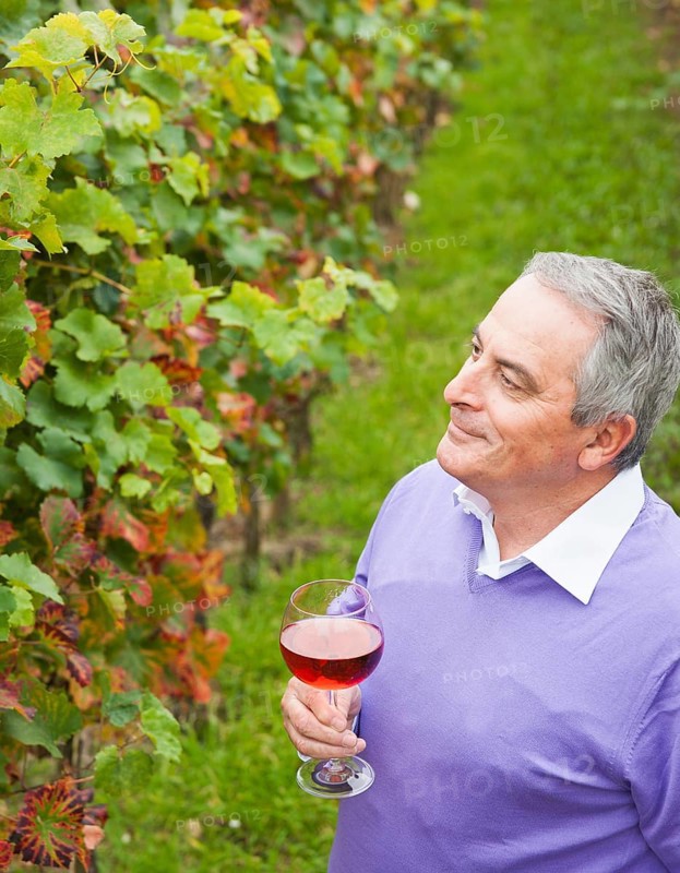 Winemaker or vintner holding a glass of wine in his vineyard