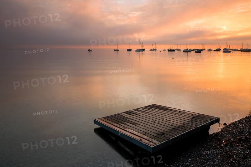 Early morning mood on Lake Constance near Landschlacht