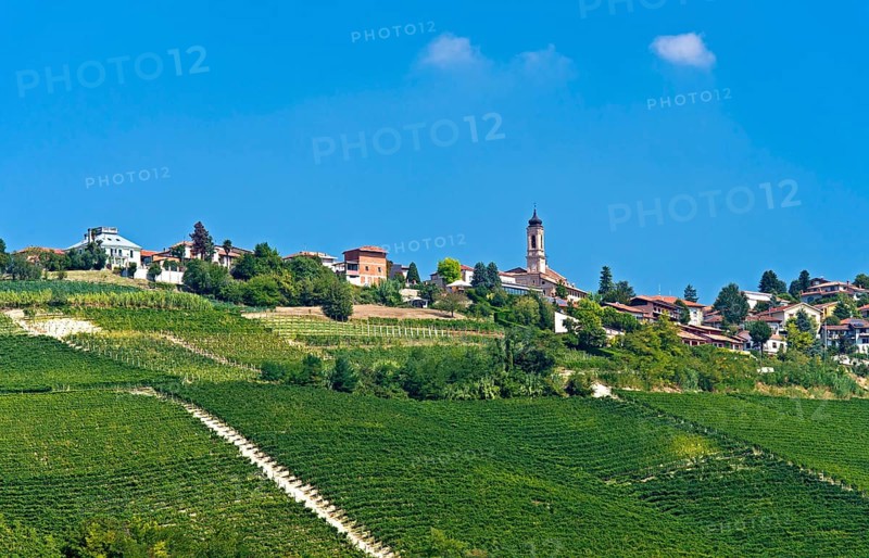 The wine-growing village Treiso
