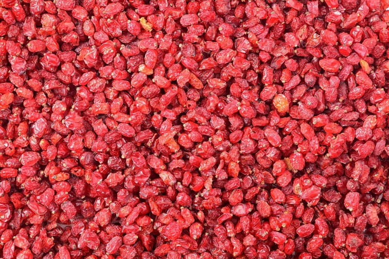 Barberries