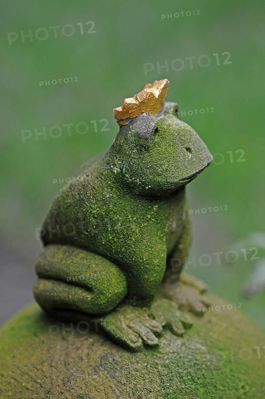 The Frog Prince