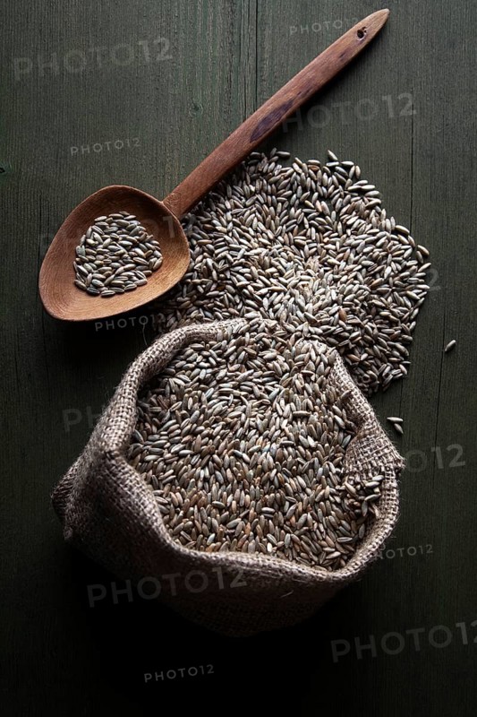 Rye grains in a jute sack with a wooden spoon